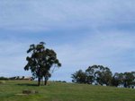 IMG_6800