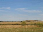 IMG_6845