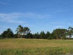 IMG_6848