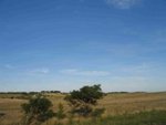 IMG_6855
