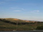 IMG_6856