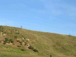 IMG_6859