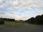 IMG_6988
