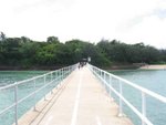 IMG_7524