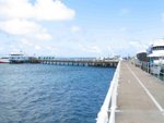 IMG_7526