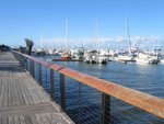 IMG_7669