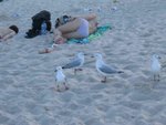 IMG_7913