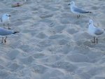 IMG_7914