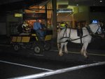 IMG_7928