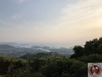 IMG_6781 (Copy)