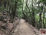 IMG_6935 (Copy)