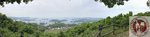 IMG_6936 (Copy)