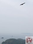IMG_6939 (Copy)