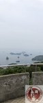 IMG_6946 (Copy)