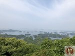 IMG_6903 (Copy)