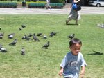 IMG_8210