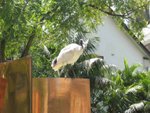 IMG_8203