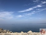 IMG_6011 (Copy)