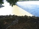 IMG_8325