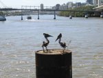 IMG_8326