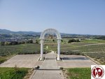 GYQZ7951 (Copy)