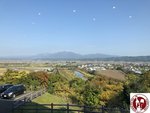 IMG_4802 (Copy)