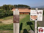 IMG_4770 (Copy)