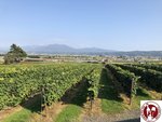 IMG_4786 (Copy)