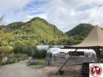 IMG_5868 (Copy)