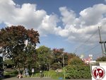 IMG_4468 (Copy)