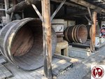 IMG_4498 (Copy)