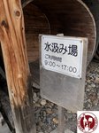 IMG_4502 (Copy)