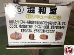 IMG_5378 (Copy)