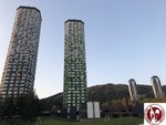 IMG_4940 (Copy)