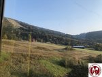 IMG_5045 (Copy)