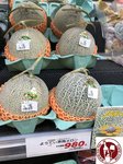 IMG_4310 (Copy)