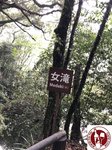 IMG_7493 (Copy)