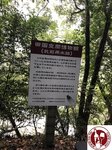IMG_7494 (Copy)