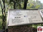 IMG_7497 (Copy)