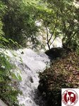 IMG_7505 (Copy)