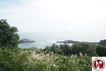 DSC07739 (Copy)