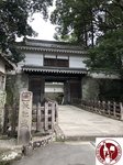 IMG_7243 (Copy)