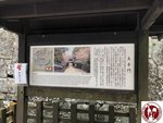IMG_7244 (Copy)
