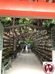 IMG_7358 (Copy)