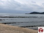 IMG_7338 (Copy)