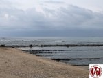 IMG_7339 (Copy)