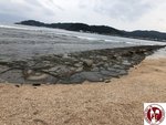IMG_7341 (Copy)