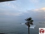 IMG_7376 (Copy)
