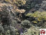 IMG_6969 (Copy)