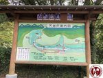 IMG_6977 (Copy)